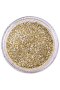 PXP biodegradable powder glitter 2.5 gr. dutch silver