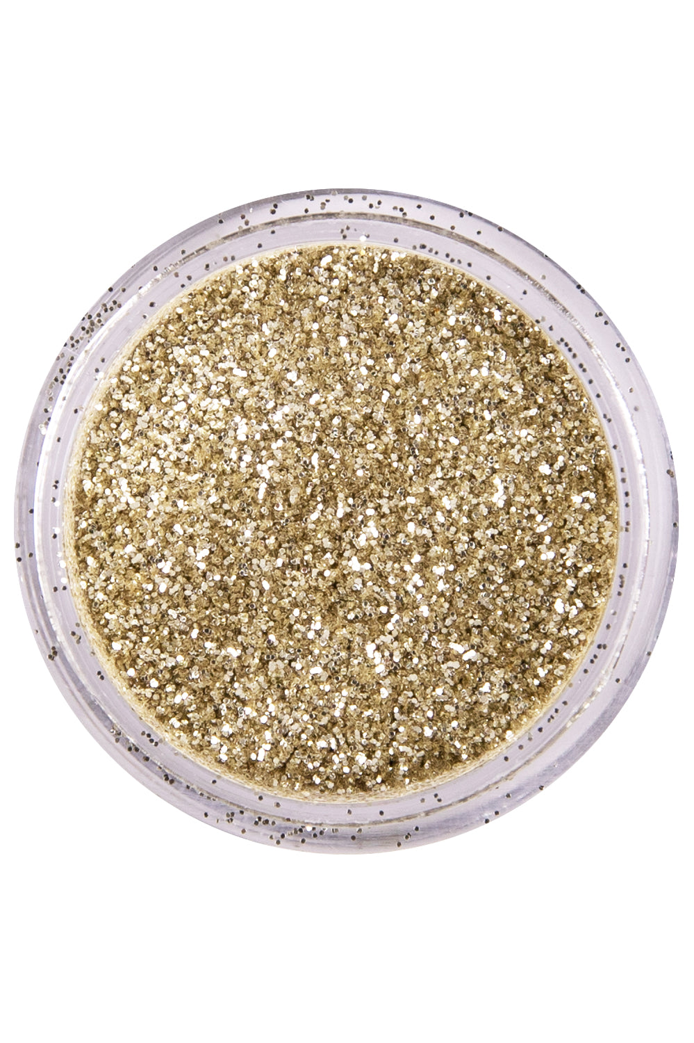 PXP biodegradable powder glitter 2.5 gr. dutch silver
