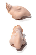 PXP Professional Colours Latex heksenneus